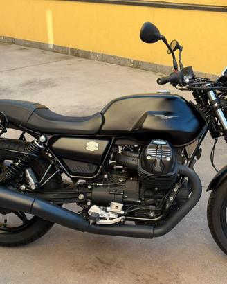 V7 STONE 2021 perfetta