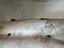 Immagine 6