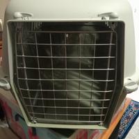 trasportino gatto e cuscino