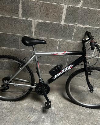 Bicicletta pininfarina e bici da uomo