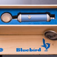 Blue Bluebird microfono a condensatore