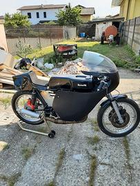 BENELLI 250 anni 70 competizione