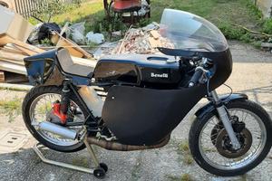 BENELLI 250 anni 70 competizione