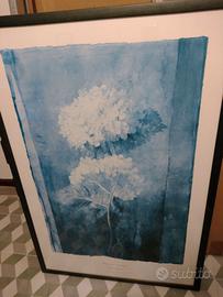 Quadro  Pedro Cano  stampa