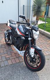 fz1  1000
