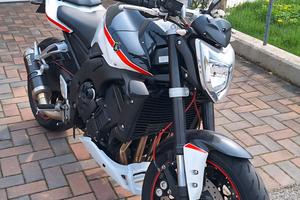 fz1  1000