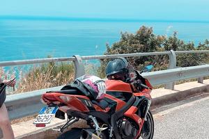 suzuki gsx r k8