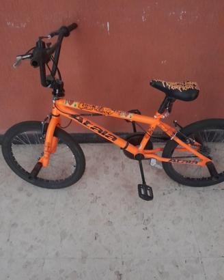 bicicletta