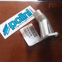 atala rizzato Polini 