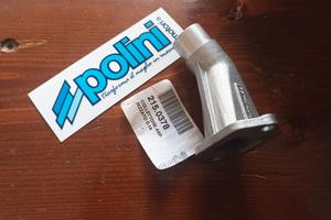 atala rizzato Polini 