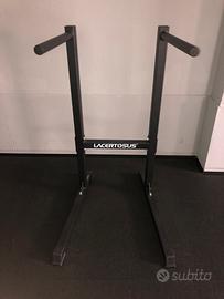 Parallele dips Lacertosus