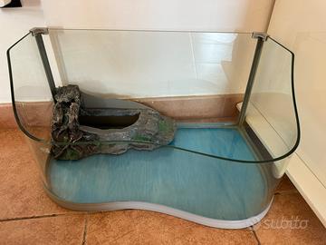 Acquario vasca per tartarughe