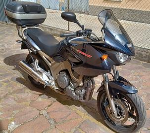 Yamaha TDM 900 - 2003