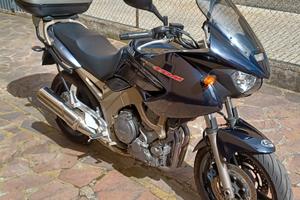 Yamaha TDM 900 - 2003