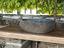 Immagine 26