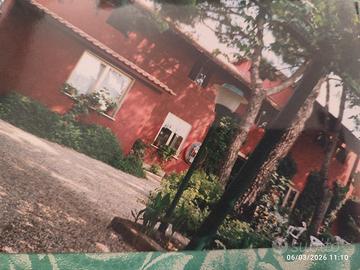 Piscina estiva e area ristoro in centro sportivo