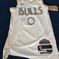 Canotta chicago bulls