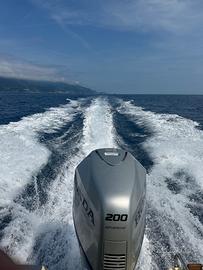 Honda bf 200 ricambi