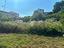Immagine 21