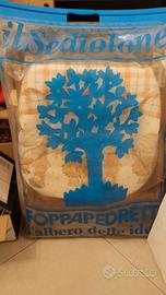 sediolone Foppapedretti 