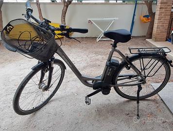bicicletta pedalata assistita