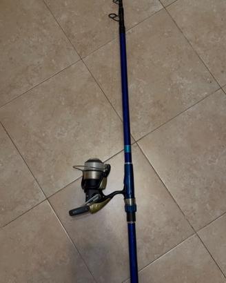 Canna da pesca Daiwa EuroMatch “Mega Force”