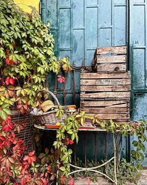 portone in ferro 2 ante, usato, stile industriale