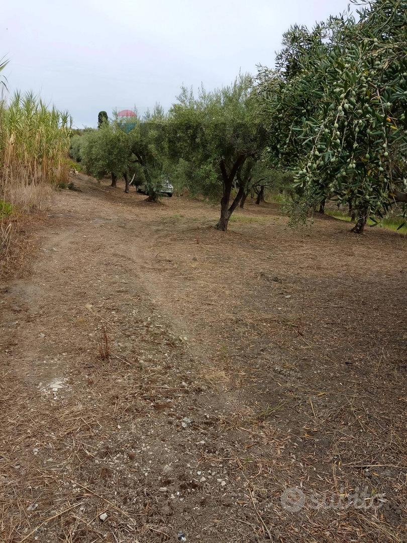 Terreno - Barcellona Pozzo di Gotto - Vista 5