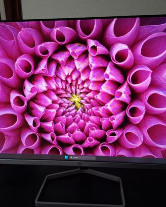 MONITOR HP