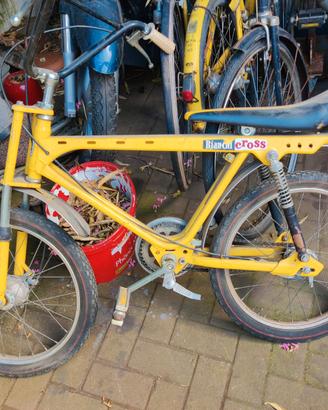 Bici Bianchi Cross