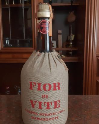 Grappa stravecchia Fior di Vite
