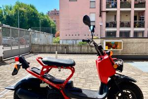 HONDA ZOOMER