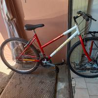 mountain-bike 