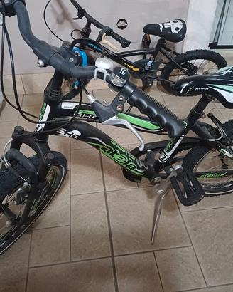 bicicletta 