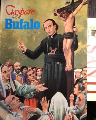 Libro Gaspare del Bufalo