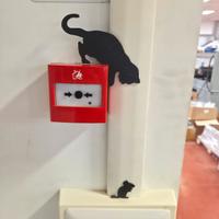 Gattino che punta un topino 