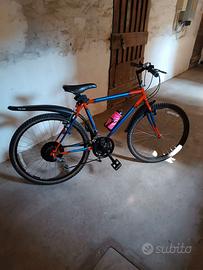 Bici sportiva Mountain Bike
