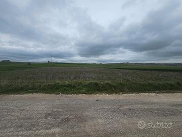 Terre 6 ettari Loc. Rondinelle MATERA003697