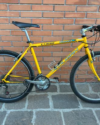 Bici Mountain Bike