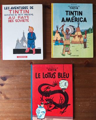 Lotto 11 fumetti Tintin Hergé Casterman