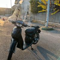 Scarabeo minarelli orizzontale 50 2t