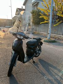 Scarabeo minarelli orizzontale 50 2t