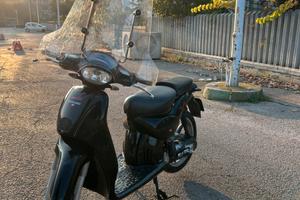 Scarabeo minarelli orizzontale 50 2t