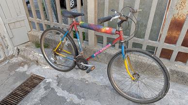 Bici invecchiata in cantina
