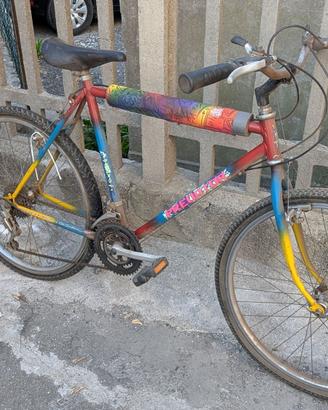 Bici invecchiata in cantina