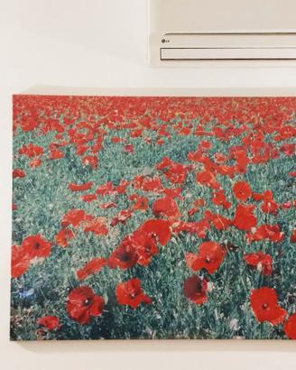 Campo di Papaveri - Stampa su tela Canvas