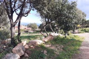 Poggio dei pini panoramico terreno 1400 mq