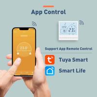 Termostato wifi Beok