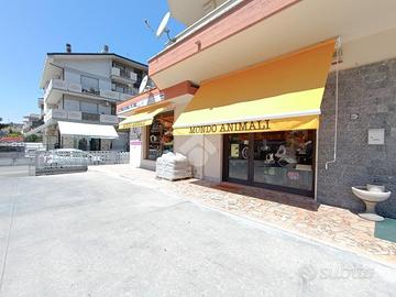 MULTILOCALE A PINETO