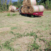 Balloni